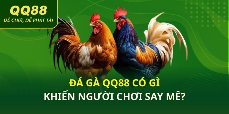 Đá gà QQ88 có gì khiến người chơi say mê?