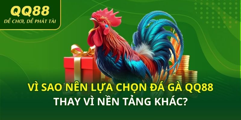 Vì sao nên lựa chọn đá gà QQ88 thay vì nền tảng khác?