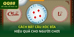 Cách Bắt Cầu Xóc Đĩa Hiệu Quả Cho Người Chơi